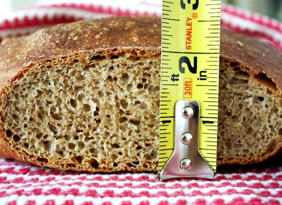 100% whole wheat bread recipe no knead