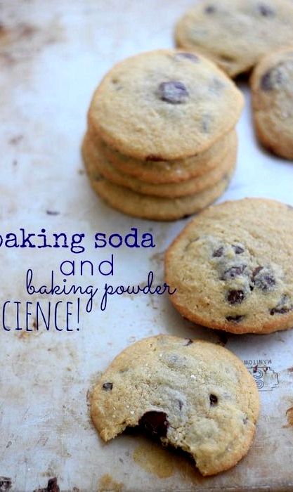 Chocolate chip cookie recipe from scratch with baking powder