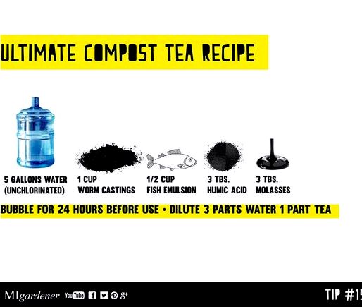 Compost tea recipe for turf toe