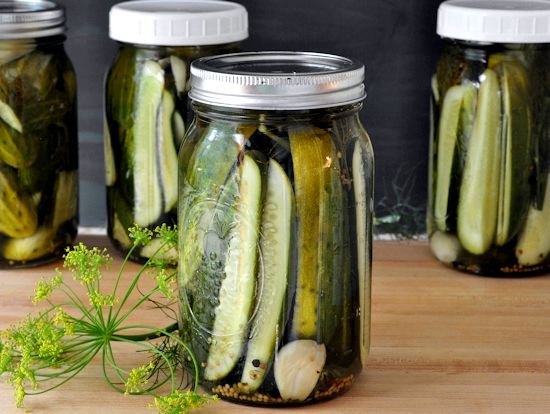 Dill pickles recipe no cook
