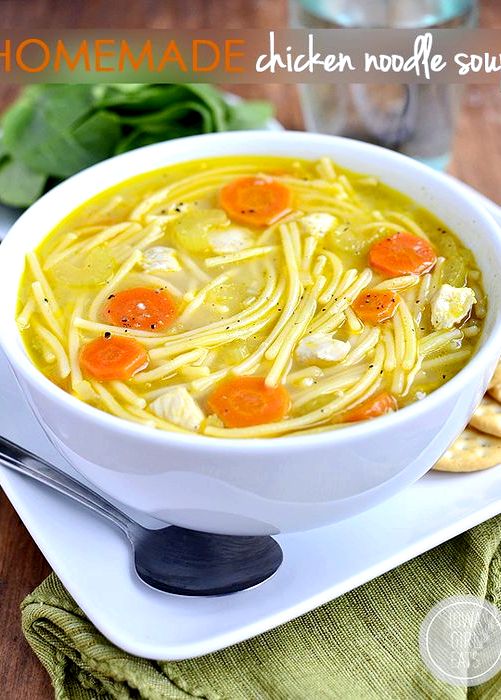 CHICKEN NOODLE SOUP WITH EGG NOODLE RECIPE