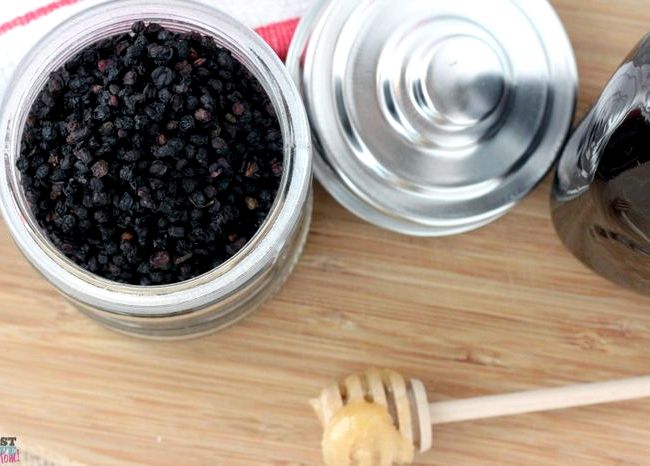 Elderberry syrup for colds recipe for stuffed
