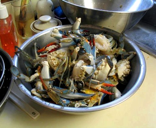 Giant blue claw crabs recipe