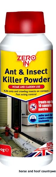Insecticidal soap recipe for earwigs bugs