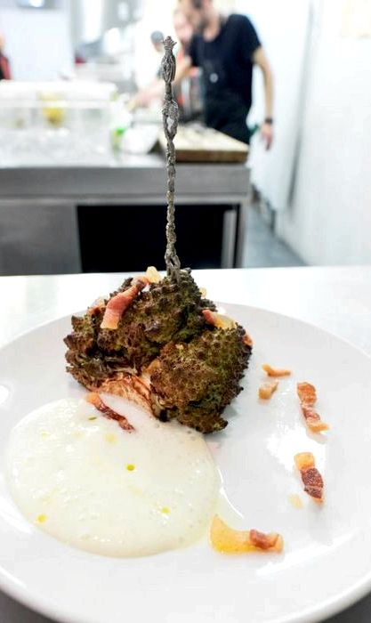 Jose maria fabregas ayahuasca recipe