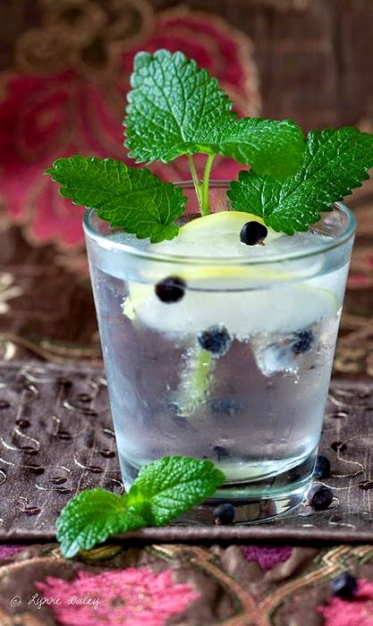 Juniper berry gin recipe cocktail