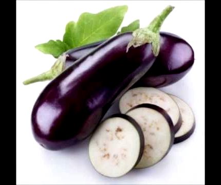 Michael franks lyrics eggplant recipe