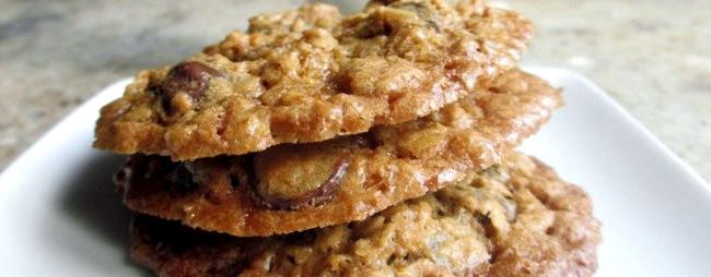 Oatmeal chocolate chip cookies recipe gluten free