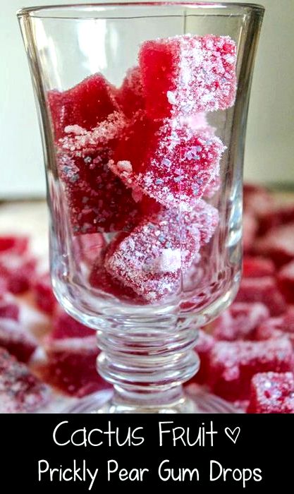 Prickly pear hard candy recipe