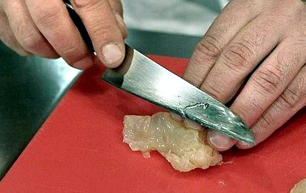 Que comen las medusas gigantes recipe Que comen las medusas gigantes recipe