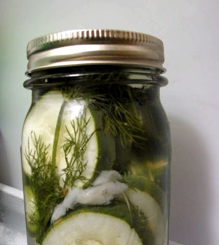 Refrigerator jalapeno dill pickles recipe