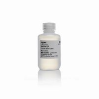 20x nupage transfer buffer recipe sds