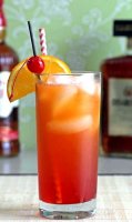 Alabama slammer pitcher recipe for martini