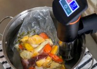Anova sous vide immersion recipe