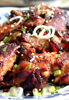 Asian style chicken marinade recipe