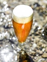 Bells two hearted beer recipe