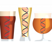 Brooklyn brown ale clone recipe