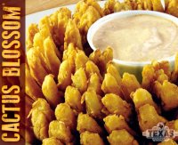 Cactus blossom recipe texas roadhouse