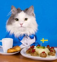 Can cats eat pork pies recipe