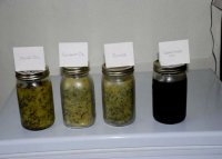 Cannabis tincture recipe made with olive oil