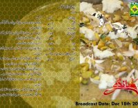 Chane ki daal ka halwa recipe by zubaida tariq ke