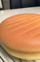 Cheesecake recipe with cream cheese and condensed milk