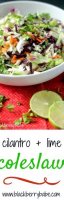 Cilantro substitute cilantro in recipe