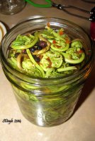 Cleaning and cooking fiddleheads recipe