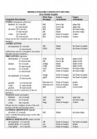 Consonant sounds in english ipa recipe
