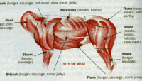 Cutting up a deer ham recipe