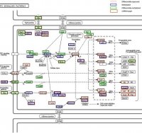 Depc treated water recipe protocol drones