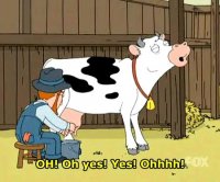 Family guy cow udders recipe