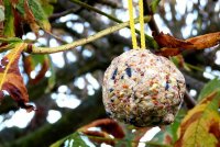 Fat balls recipe for bird