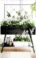 Fleurs de printemps en jardiniere recipe