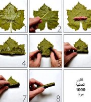 Fresh grape leaves dolmas recipe fresh