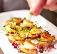 Gamberoni alla griglia recipe finder