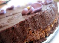Gateau avec fond croquant recipe