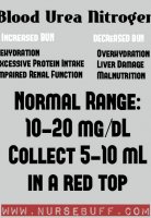 Glop recipe get lots proteinuria