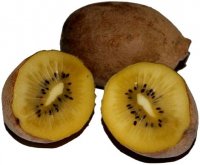 Golden kiwi fruit jam recipe
