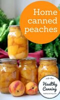 Home canned peach salsa recipe