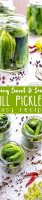 Homemade sour dill pickles recipe