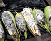 Hongo del maiz huitlacoche recipe