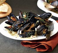 Mussels recipe white wine fennel