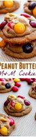 Nutrition fun size peanut butter m&ms cookie recipe