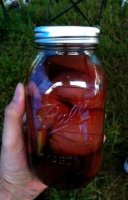 Peach brandy recipe distillation kit