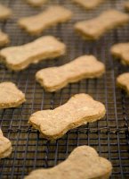 Peanut butter banana dog biscuit recipe