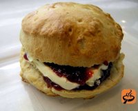 Plain scone recipe with eggs