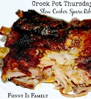Pork spare ribs recipe crockpot