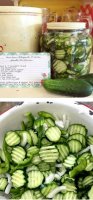 Refrigerator dill pickles recipe small batch sweet