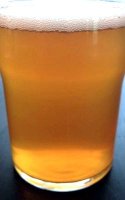 Saison dupont clone recipe kits